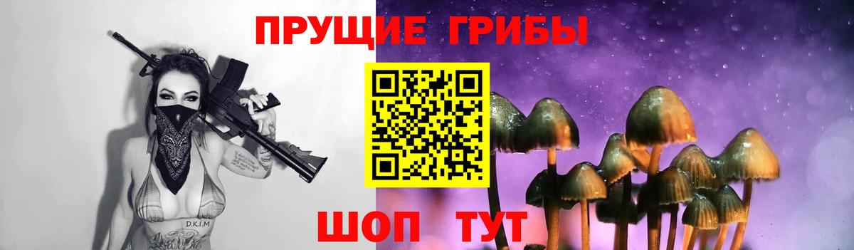 Галлюциногенные грибы MAGIC MUSHROOMS  Вход с VPN  Бузулук  Галлюциногенные грибы мицелий 